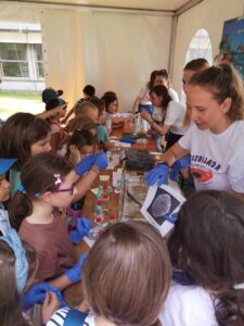 1.d Frizbijada 9 225x300