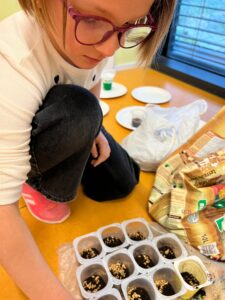 2.d Psenica 7 1 225x300