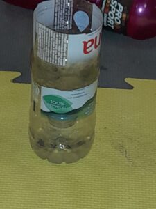 20221124 135511 225x300