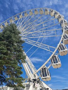 20230506 110607 225x300