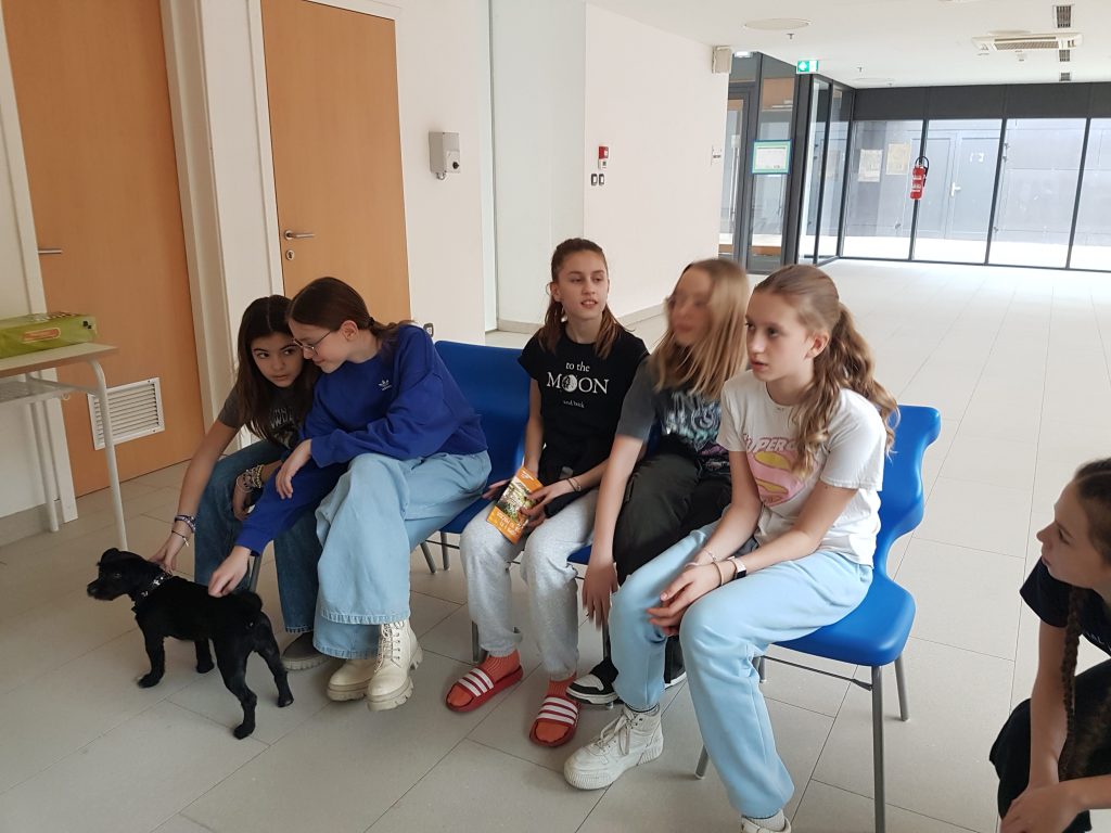 20240209 121104 1024x768