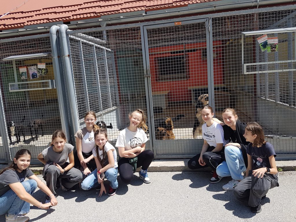 20240517 124407 1024x768