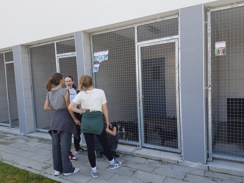 20240517 130404 1024x768