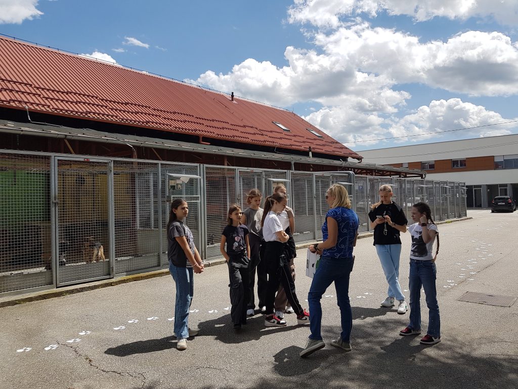 20240517 131444 1024x768