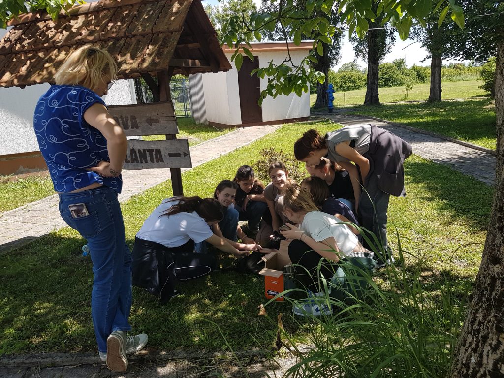 20240517 132916 1024x768