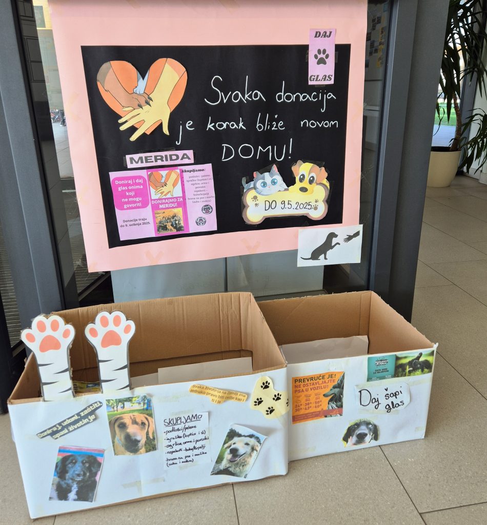 20250403 104514 950x1024