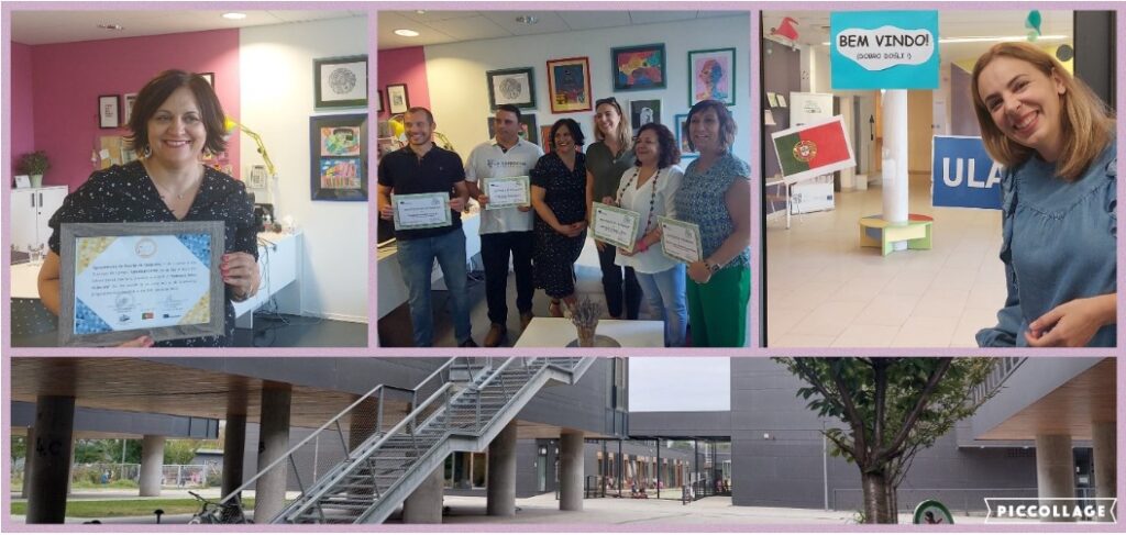 385773807 717360927089456 55311330470179273 N 1024x487