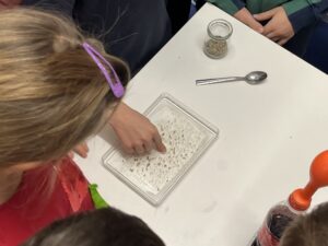 96F533A3 44CF 4B0B A897 1F27D685DD4D 300x225