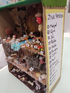 Ekoloski Sustav Sume Una Ivanec I Emma Kukec1 225x300