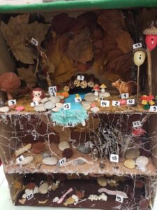 Ekoloski Sustav Sume Una Ivanec I Emma Kukec2 225x300