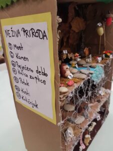 Ekoloski Sustav Sume Una Ivanec I Emma Kukec3 225x300