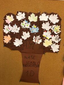 IMG 20211117 WA0067 225x300