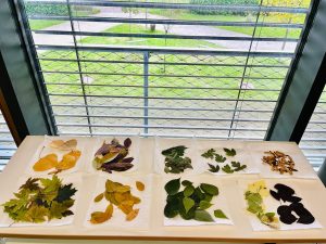 IMG 20220927 WA0059 300x225