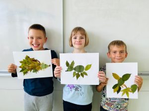 IMG 20220927 WA0063 300x225