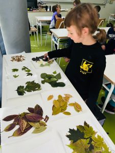 IMG 20220927 WA0071 225x300