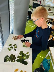 IMG 20220927 WA0072 225x300