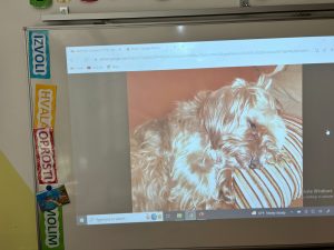 IMG 20221010 WA0011 1 300x225