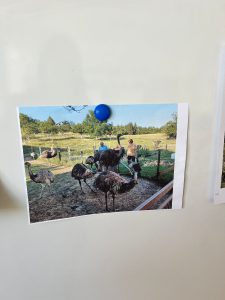 IMG 20221010 WA0013 1 225x300