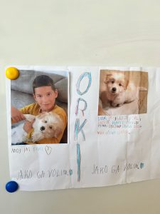 IMG 20221010 WA0014 1 225x300