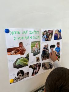 IMG 20221010 WA0015 1 225x300