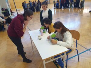 IMG 20221124 WA0007 1 300x225