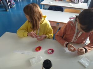 IMG 20221124 WA0028 300x225