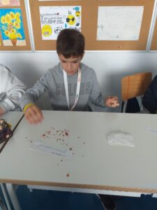 IMG 20221124 WA0029 225x300