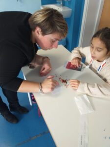 IMG 20221124 WA0031 225x300