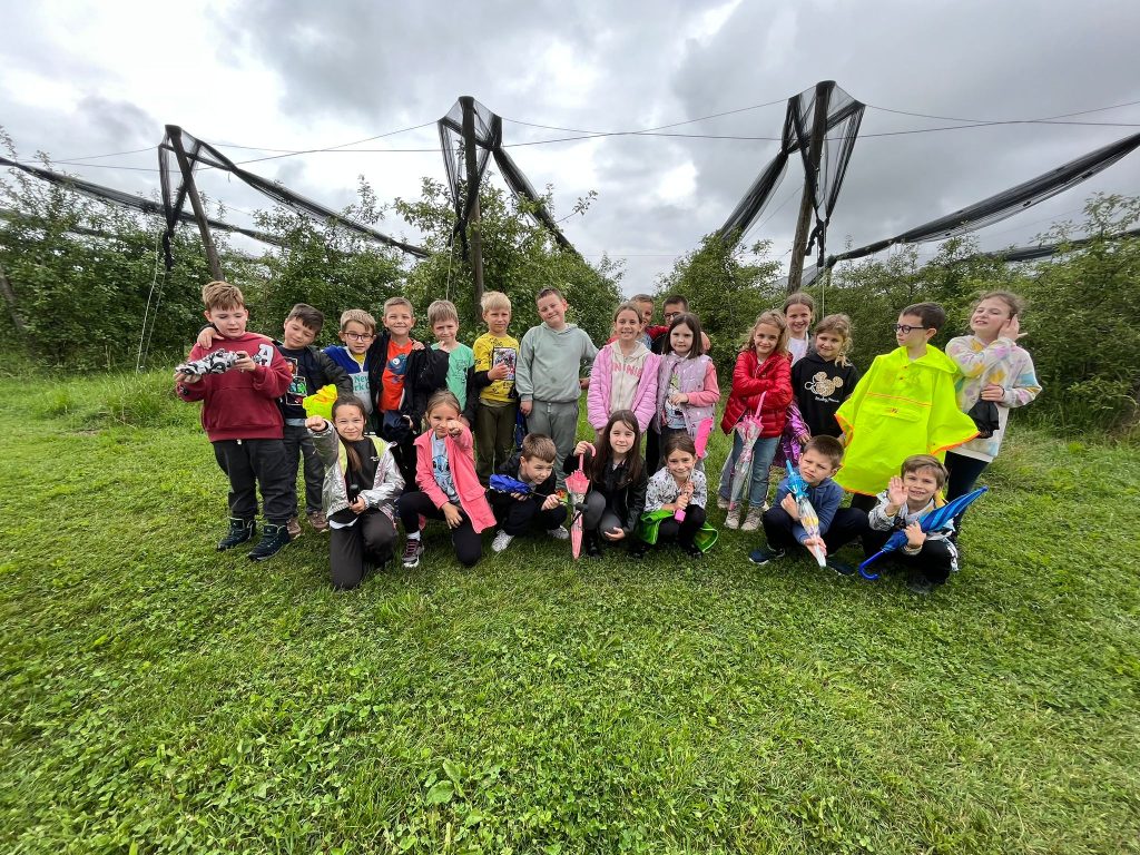 IMG 20240606 WA0014 1024x768