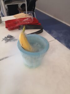 IMG 20221124 091740 225x300