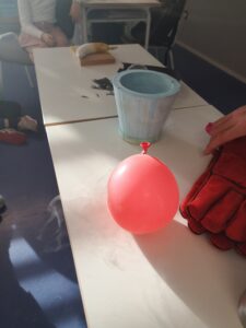 IMG 20221124 092622 225x300