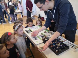 IMG 20221124 105741 300x225