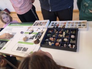 IMG 20221124 110052 300x225