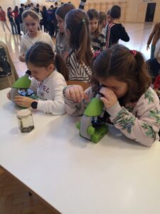 IMG 20221124 112618 225x300