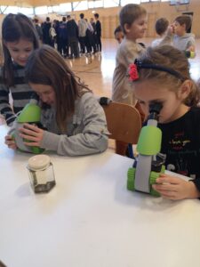 IMG 20221124 112819 225x300