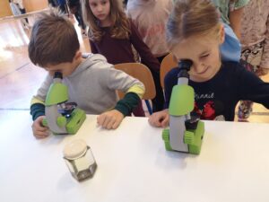 IMG 20221124 113115 300x225