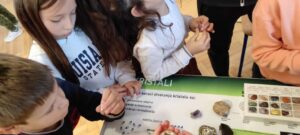 IMG 20221124 113717 300x135