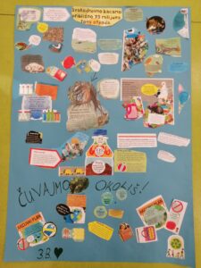 IMG 20221124 1258591 225x300