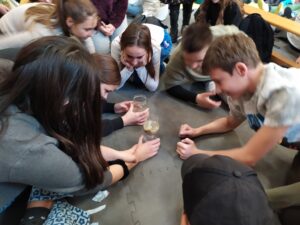 IMG 20221124 133943 300x225