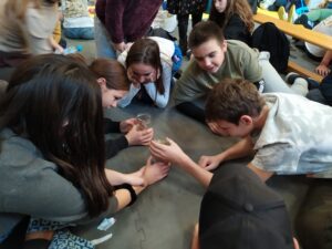 IMG 20221124 133946 300x225