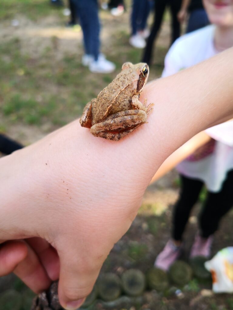 IMG 20231011 152853 768x1024