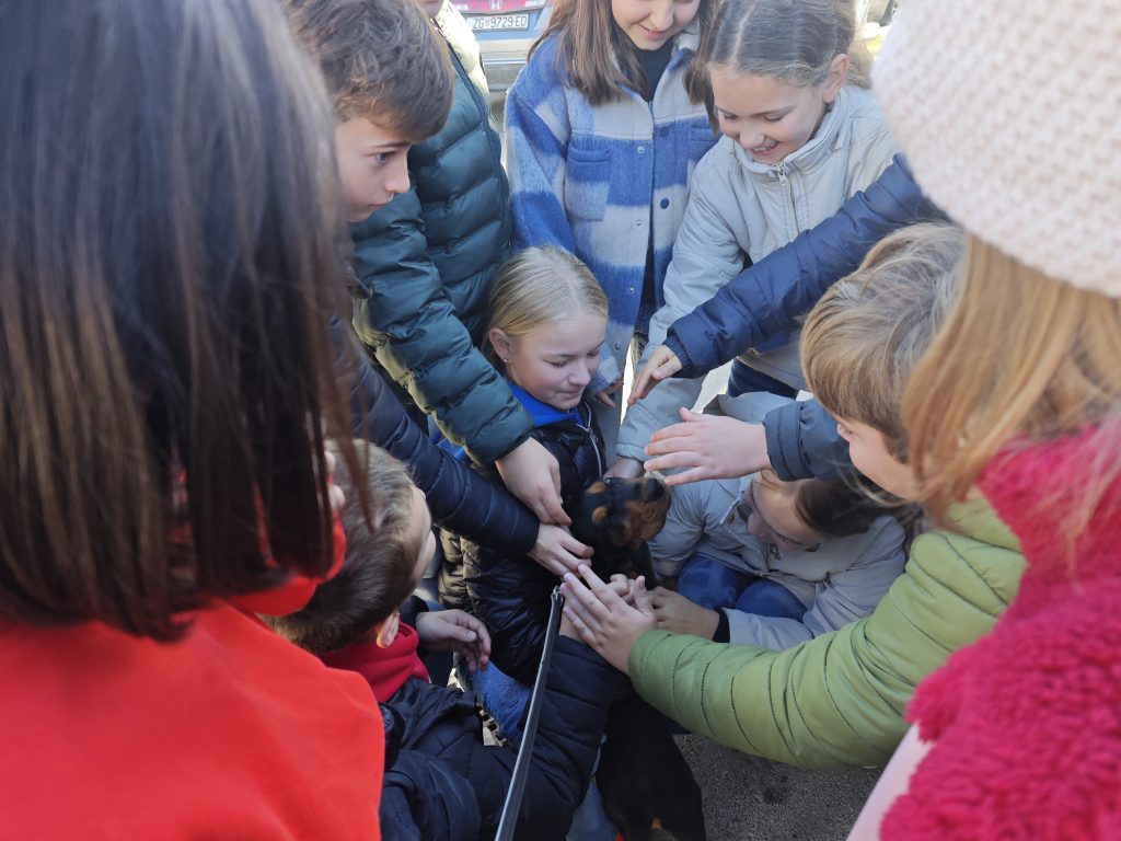 IMG 20251105 100447 1024x768