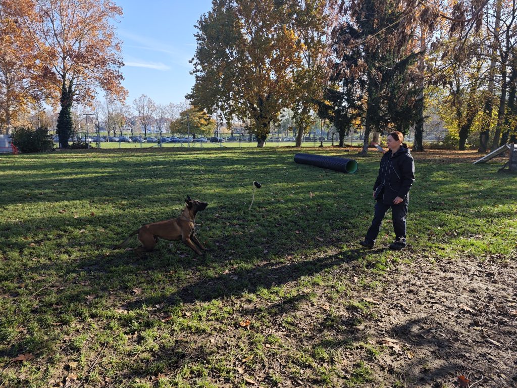 IMG 20251105 101144 1024x768