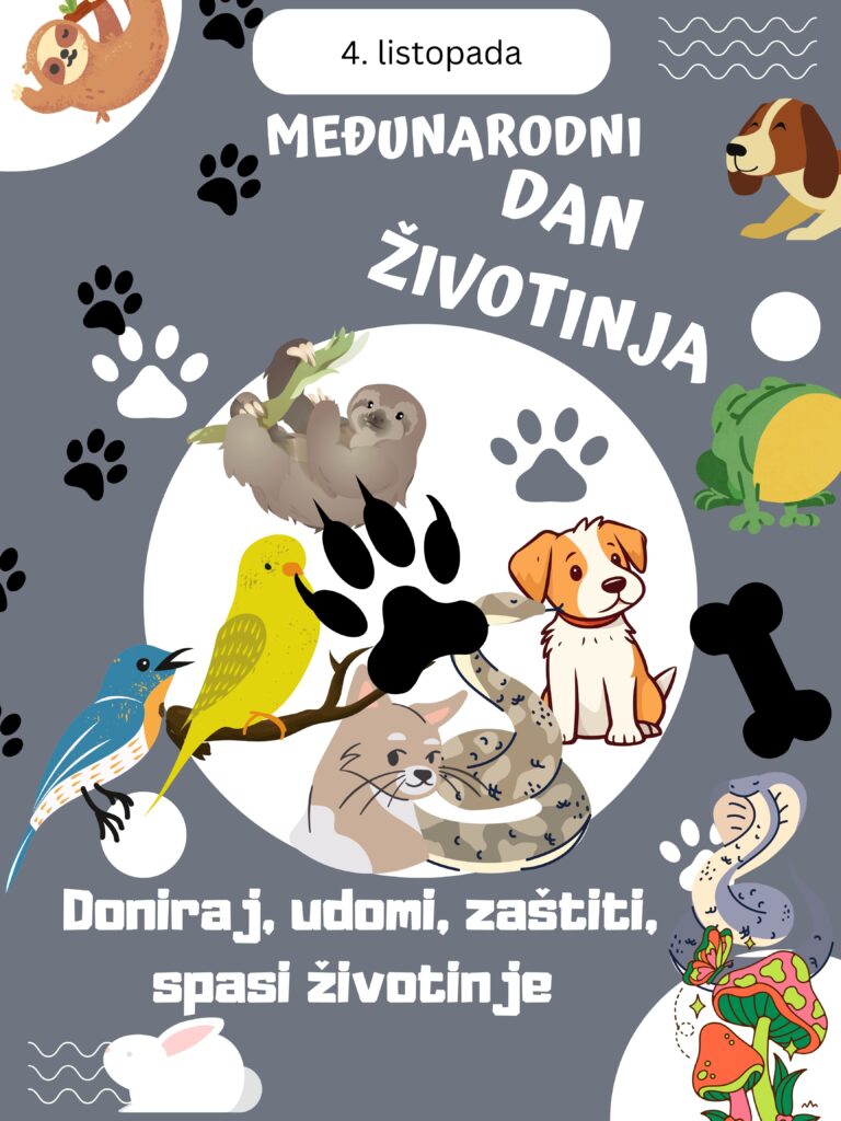 Masa Alvir 6.b 768x1024