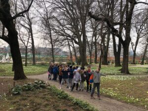 MicrosoftTeams Image 120 300x225