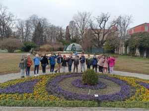 MicrosoftTeams Image 122 300x225