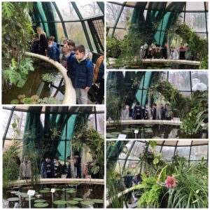 MicrosoftTeams Image 124 300x300