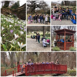 MicrosoftTeams Image 125 300x300