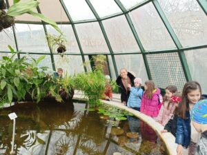 MicrosoftTeams Image 131 300x225