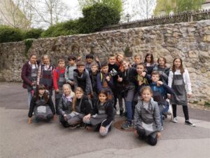 MicrosoftTeams Image 162 300x225